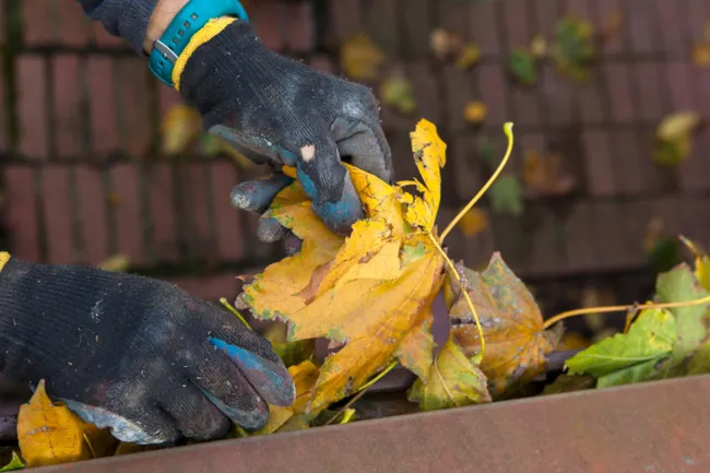 Richmond Gutter Company Offers Premier Gutter Services in Richmond, VA
