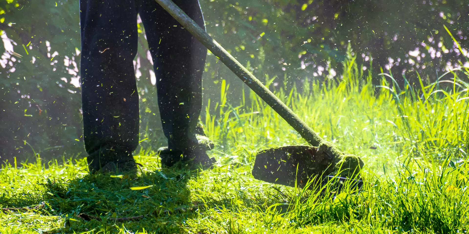 Common Lawn Mowing Mistakes to Avoid for a Lush Lawn